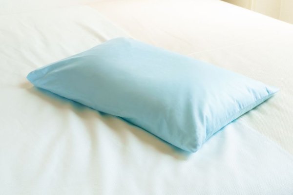 画像1: ※入荷未定※　そば殻のようなパイプ　青枕　Strow Pipe Pillow　 【宅配便100】 (1)