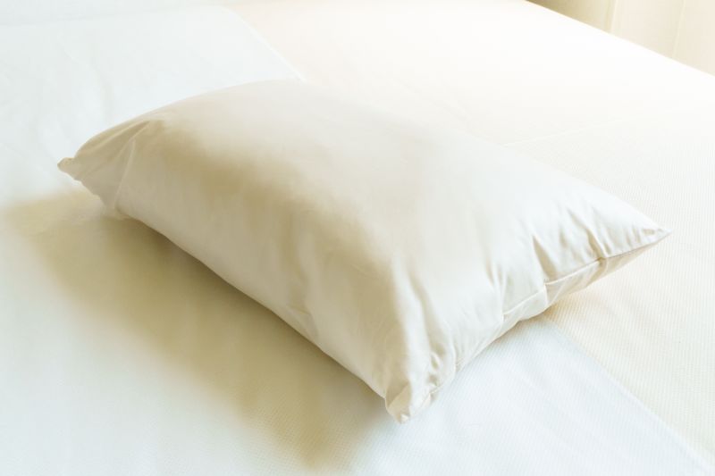 画像1: ふわふわ　白枕　Fluffy Pillow　 【宅配便100】 (1)