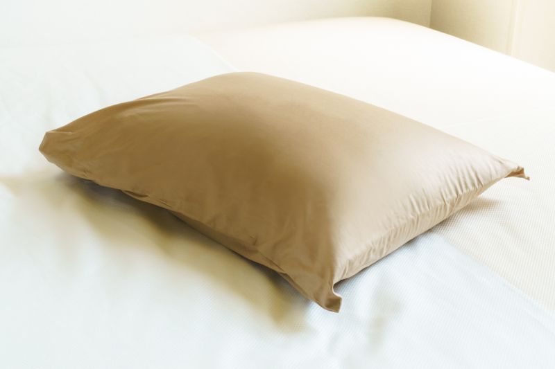 画像1: ※入荷待ち　心地よい感触　低反発　茶枕　Low Rebounding Pillow 【宅配便100】 (1)